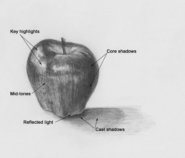 Градации светотени на яблоке