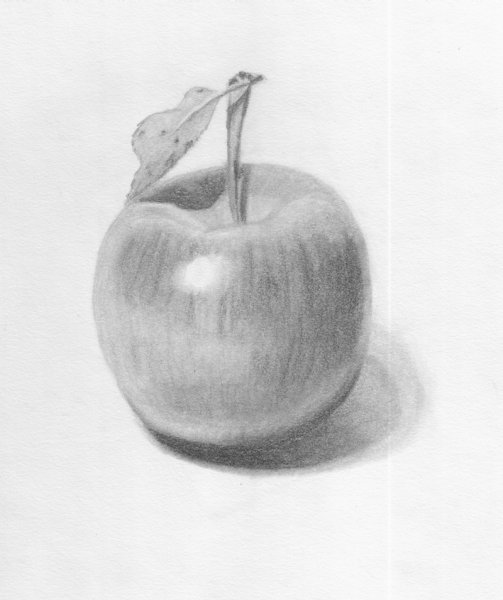 Натюрморт с тенью карандашом