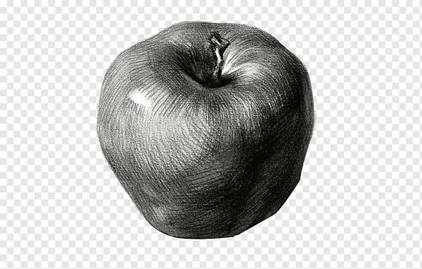 Яблоко карандашом