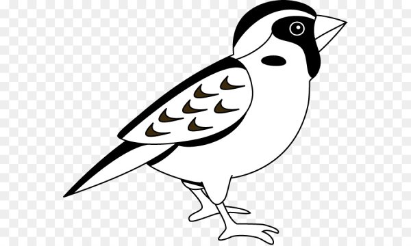 Воробей трафарет для детей