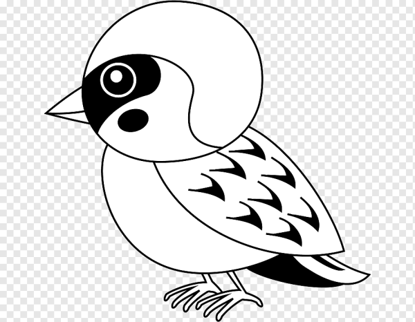 Маска раскраска Воробей для детей