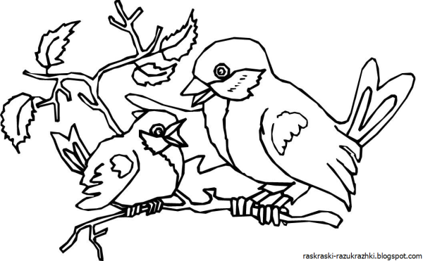 Птицы для раскрашивания для детей