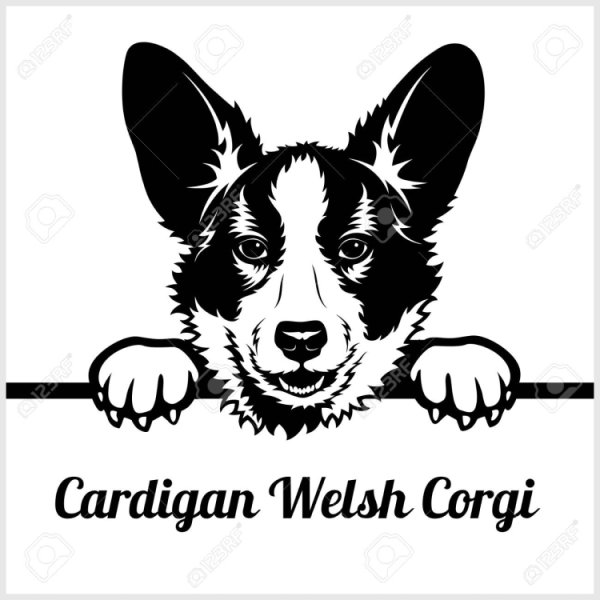 Корги вектор гравировка