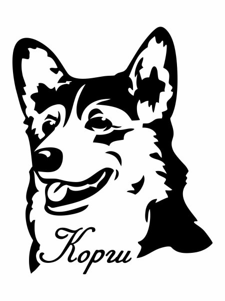 Собака корги