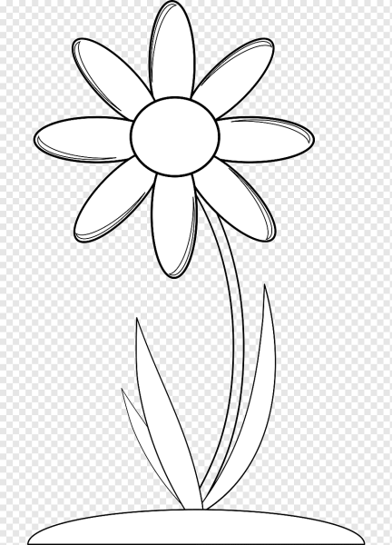 Ромашка раскраска