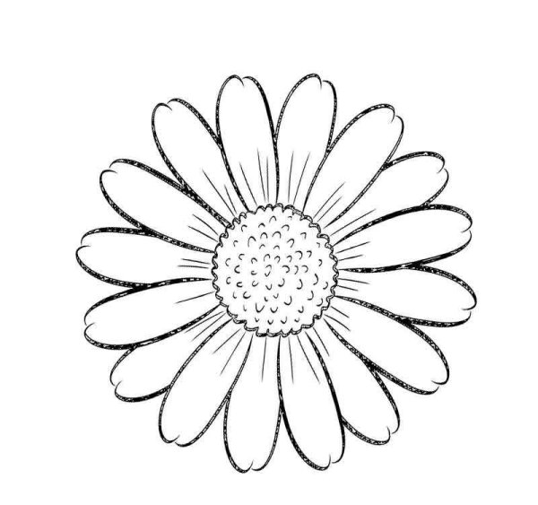 Ромашка раскраска