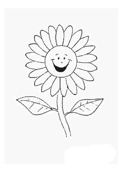 Ромашка раскраска