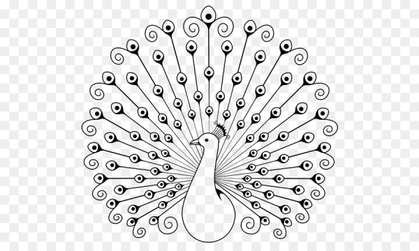 Павлин картинки