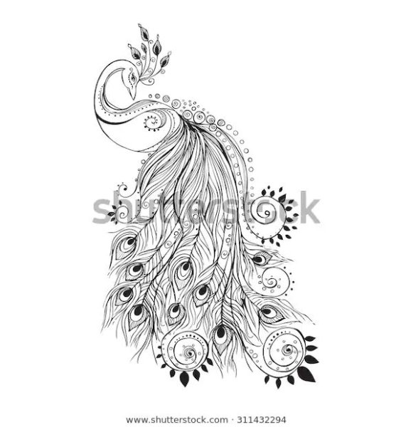 Павлин эскиз вектор