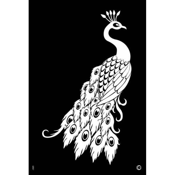 Трафареты павлинов