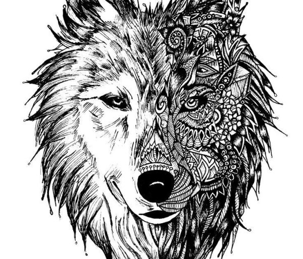 Морда волка тату эскиз