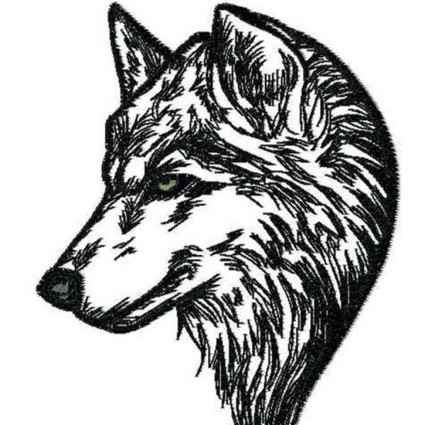 Голова волка сбоку