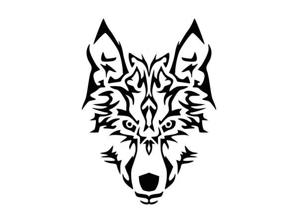 Контур морды волка