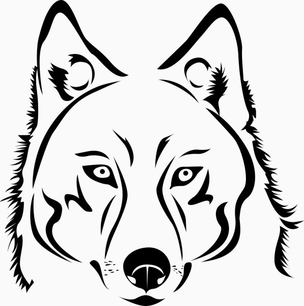 Очертания морды волка