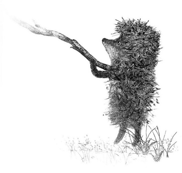 Ежик в тумане без фона