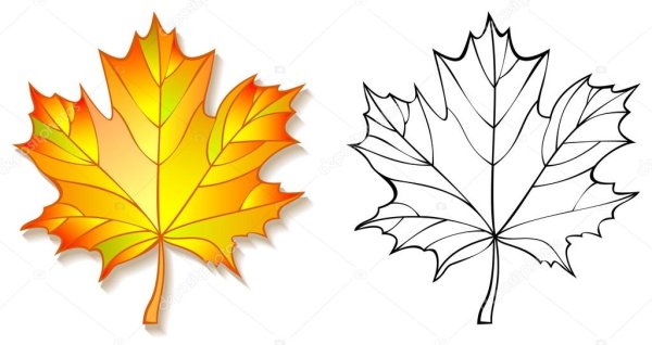 Осенние листочки симметричные