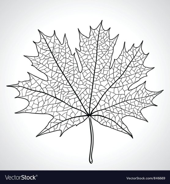 Кленовый лист с узорами