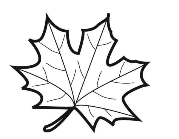 Кленовый листик трафарет