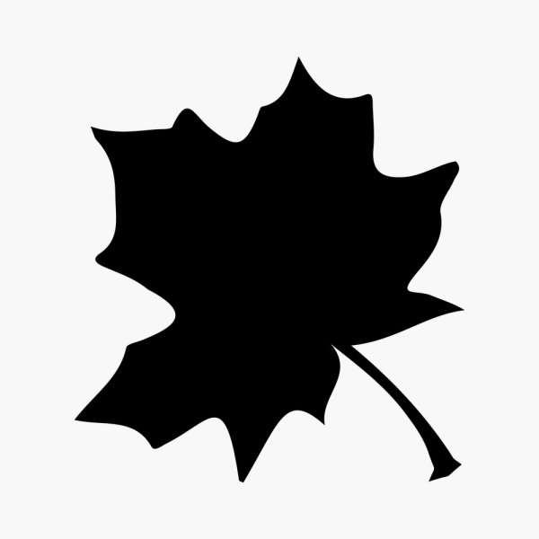 Силуэт осенних листьев