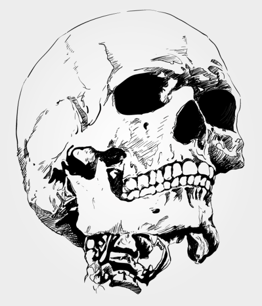 Череп на прозрачном фоне