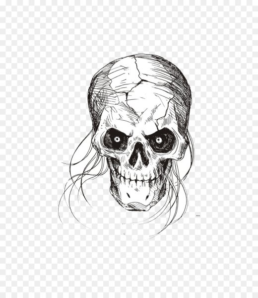 Череп черно белый рисунок