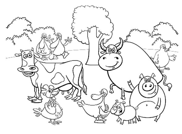 Раскрасскаоранжевая корова