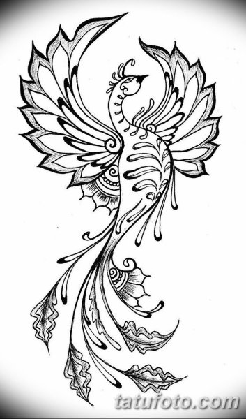 Жар птица раскраска