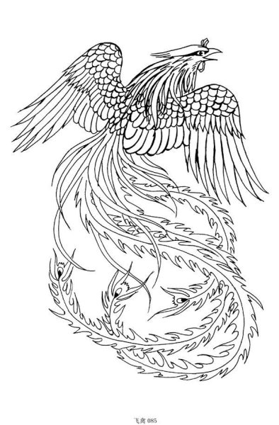 Жар птица раскраска