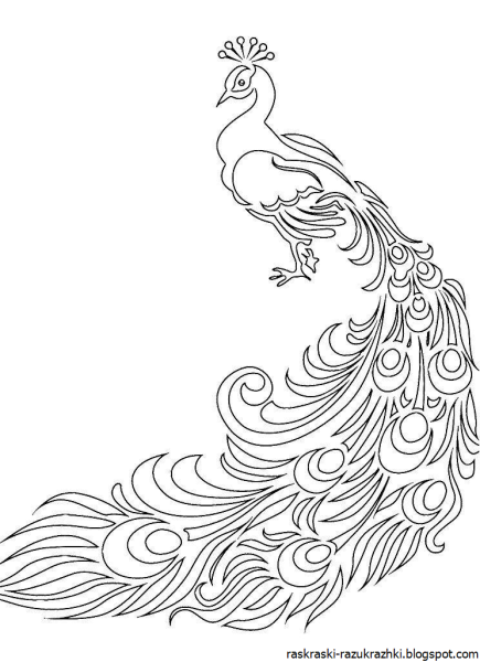 Жар птица раскраска для детей