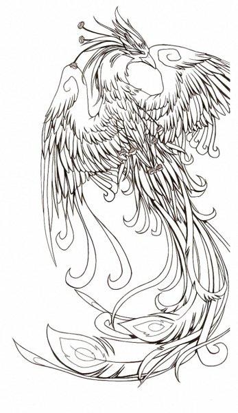 Феникс эскиз