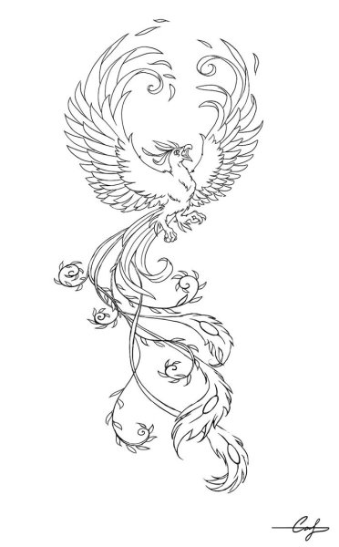 Феникс раскраска