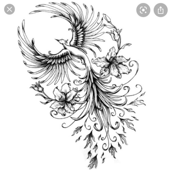 Птица Феникс эскиз