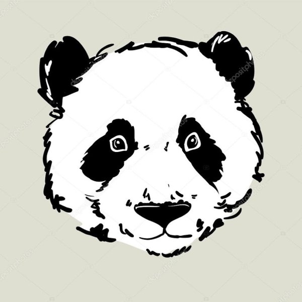 Голова панды вектор