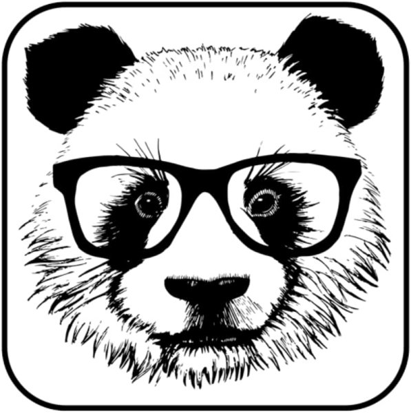 Графическое изображение панды