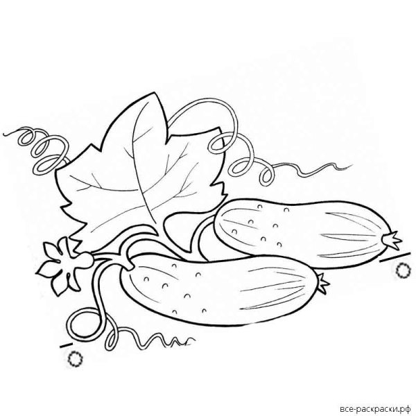 Огурец раскраска