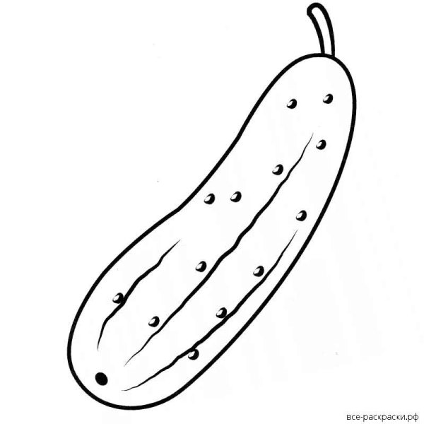 Огурец раскраска