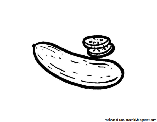 Огурец растение раскраска