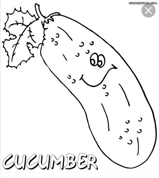 Кабачок раскраска