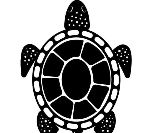 Слоновая черепаха раскраска