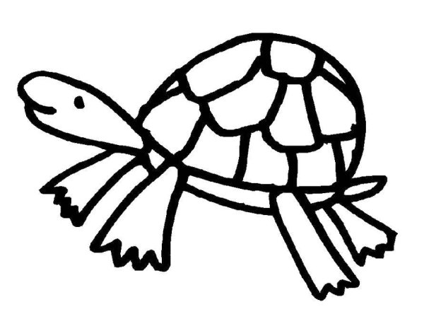 Трафареты черепахи