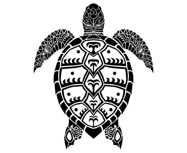 Черепаха черно белая