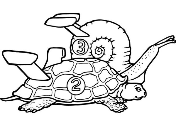 Морская черепаха контур