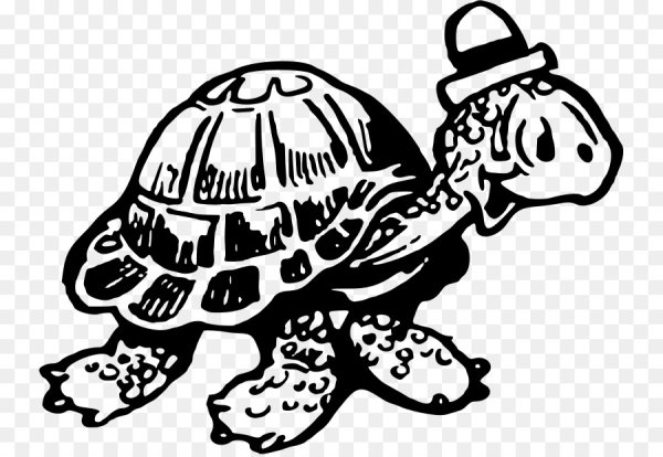 Черепашка раскраска для детей