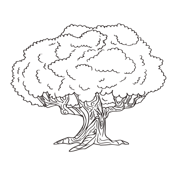 Дерево контур