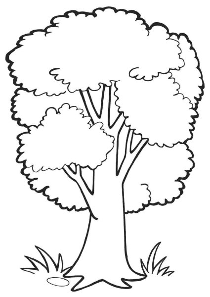 Дерево контур