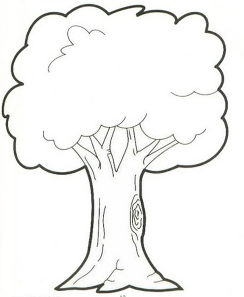 Дерево раскраска для детей