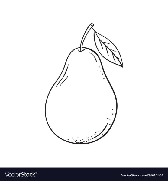 Груша плод черно-белый