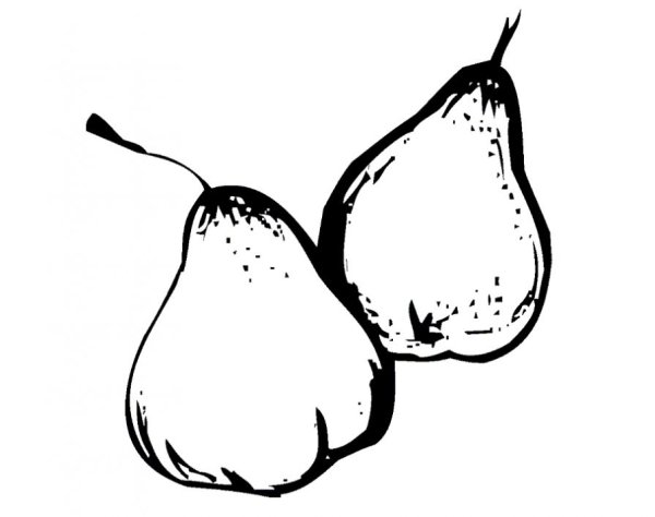 Груша раскраска