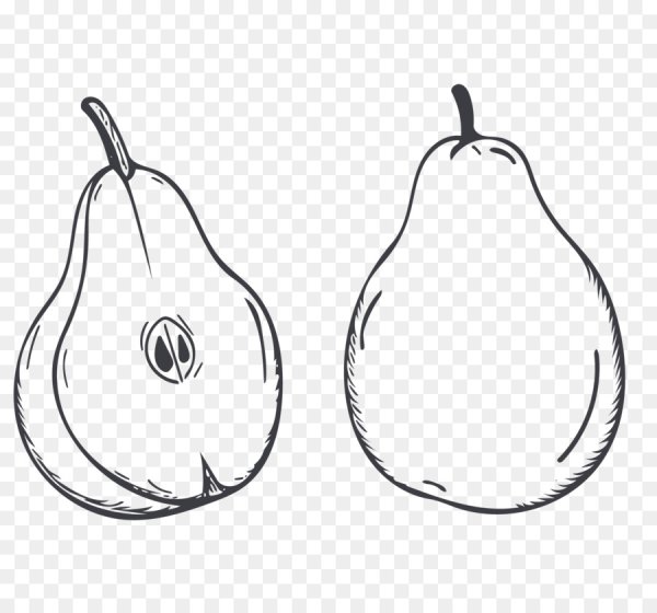 Груша контур