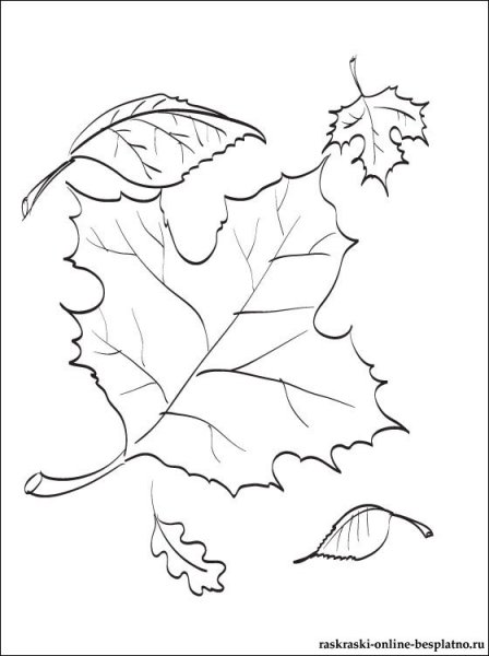 Осень черно белая для детей